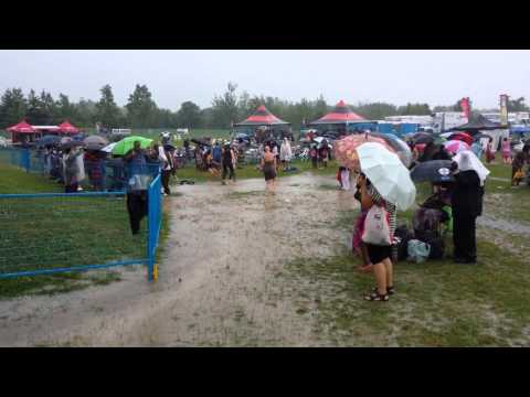 Fojeba - Toronto people song  (Harbourfront ,lakeshore,Afrofest,)