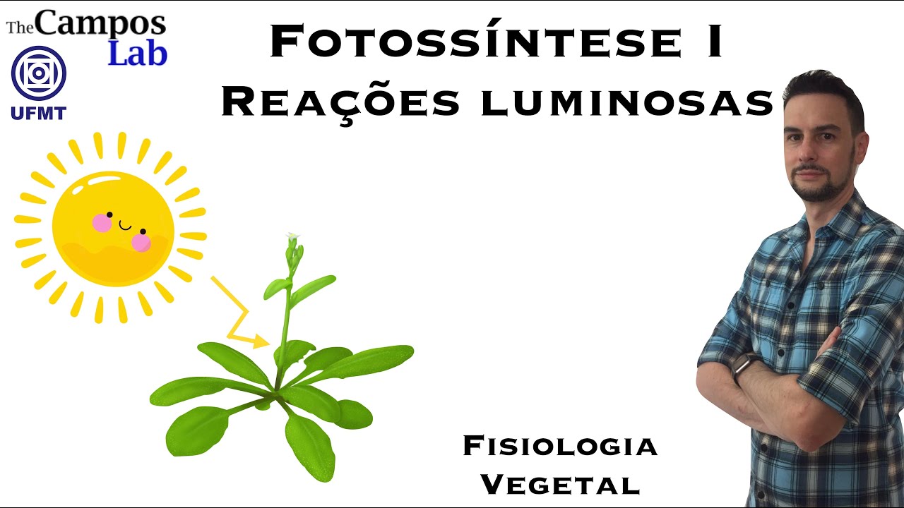 Fotossíntese - Reações Luminosas (1/3): Introdução a fotossíntese