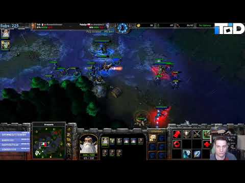 ToD vs Paladyn - FLAMER DOWN