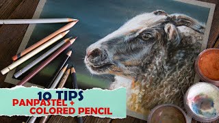 Use These Quick Tips for Your PanPastel & Colored Pencil Paintings