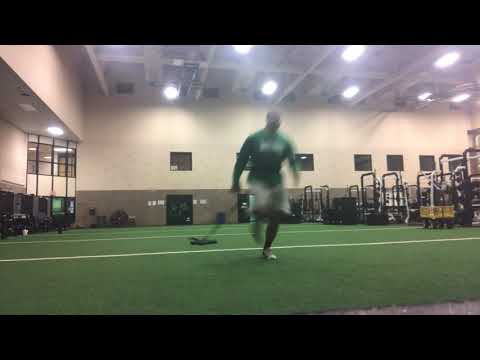 Sled Sprints Hurt Sprint Technique?