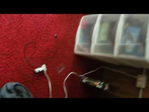 how to get a (rare) blue axolotl all the time (one command!)