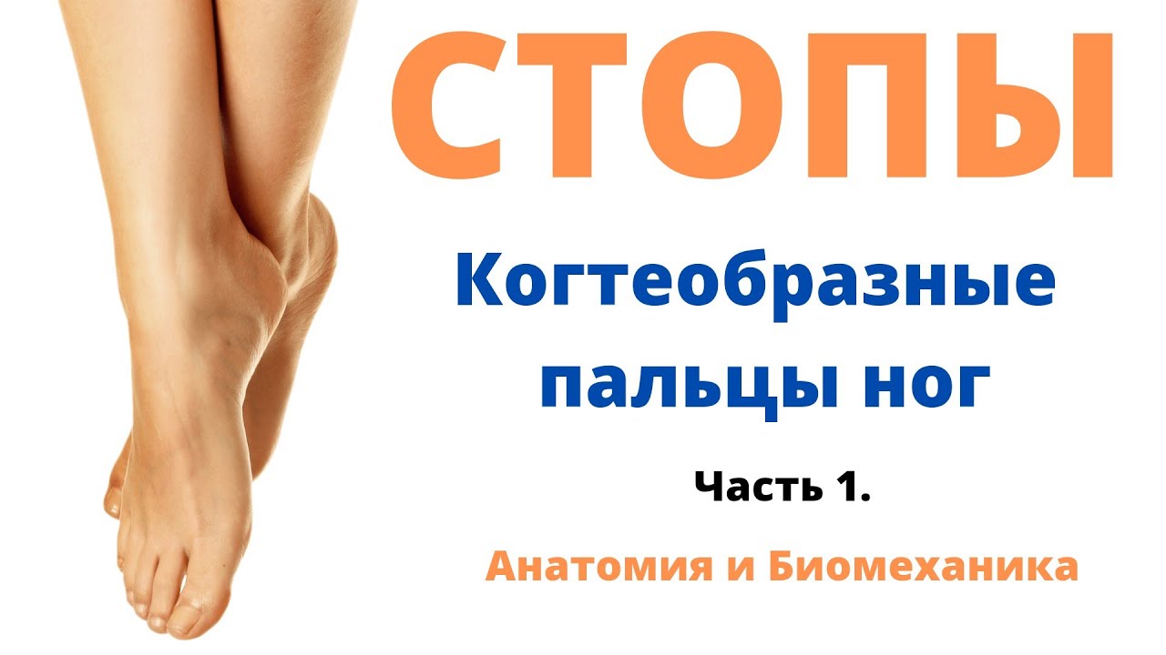 Стопы. Когтеобразные пальцы ног. Лечение и профилактика.