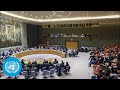Iran Security Council 10091st Meeting United Nations