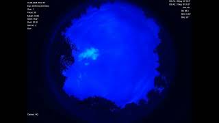 2025-09-10 All sky camera capture from Poiana Rusca Mountains, Romania