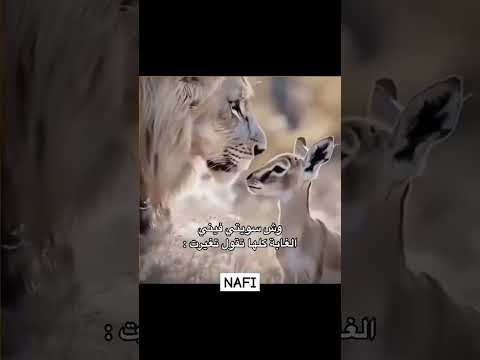 وش سويتي فيني....#اكسبلور #اقنباسات #اقتباسات #عبارات #trending #NAFI #quotes #لايك #ترند #اشتراك