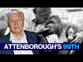 David Attenborough S Urgent Message To The World On His 99th Birthday