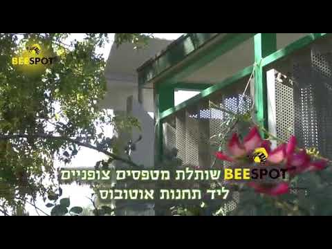 סרטון הסבר thumbnail