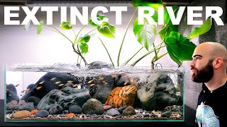 Building An Extinct Fish A Natural Habitat Aquarium