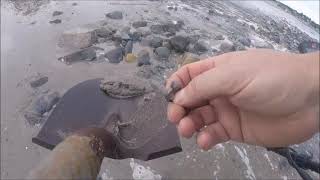 Beach Metal Detecting best tide cycles revealed
