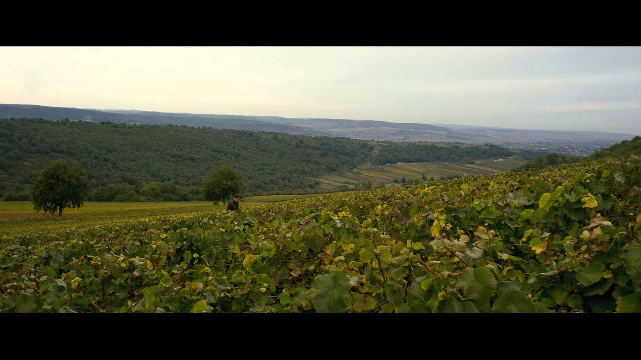 Miniature de la vidéo PREMIERS CRUS - Bande Annonce VF du film Premiers crus