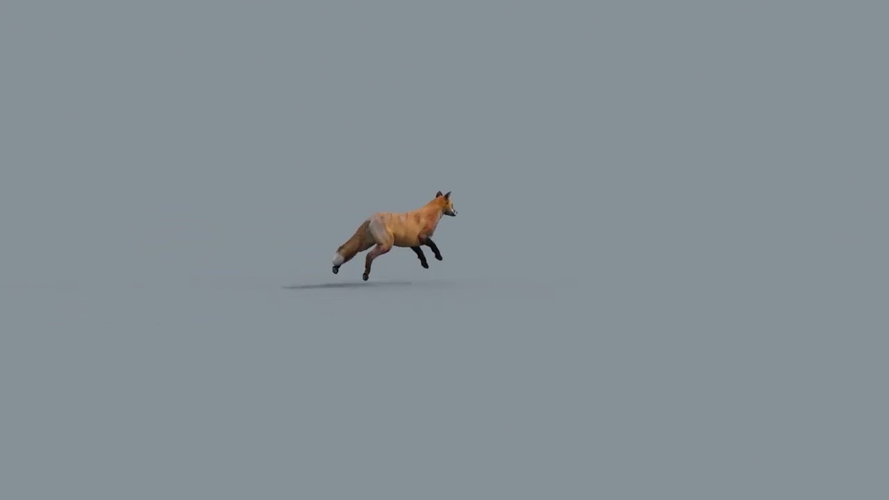 My Fox - 3d animated fox model 3D Model