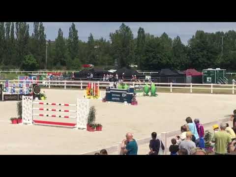 FOR SALE 2010 HOLST gelding by Clarimo 145 with amateur