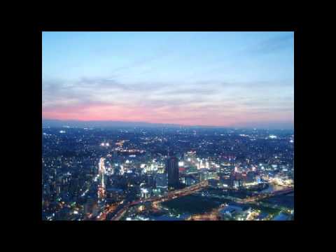 Fever The Night - Matt Land