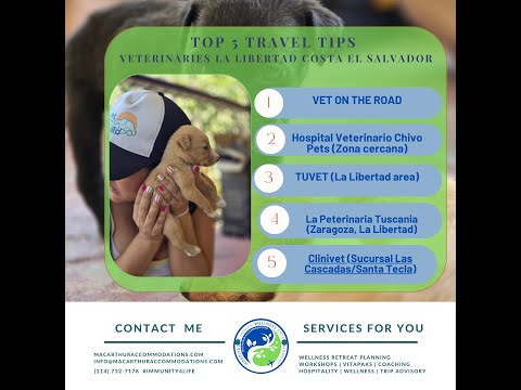 #TravelTipTuesdays #Top5VeterinariesLaLibertadCostaElSalvador