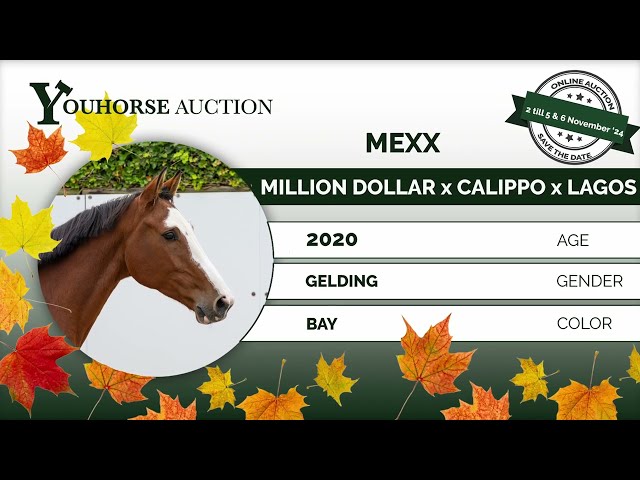 Mexx