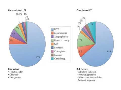 Online Journal Club: How to Interpret the Results of a Midstream Specimen of Urine Culture Test?