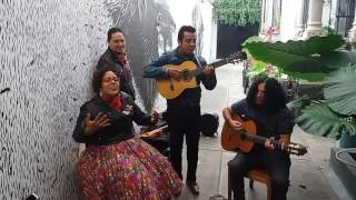 La Santa Cecilia - Amar y vivir