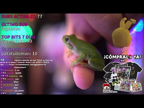 GG Finds a Frog | GG Games Clip #765