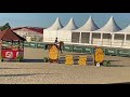 Cheval hongre demi-sang 5 ans