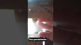 não desisto