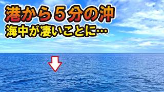 港から沖へ出ると海中はどう変わる！？魚影も地形も別次元！沿岸と沖の違いが凄すぎた…！