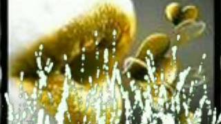 Luis Miguel-Tu Mirada