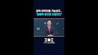 "장동혁 왔으면 도망갔을 것" / #shorts