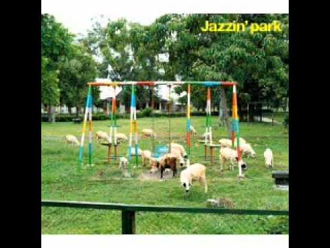 Jazzin'Park - Traveller