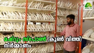 മഷ്‌റൂം സ്പോൺ (കൂൺ വിത്ത്) നിർമ്മാണ രീതി | Mushroom Spawn Making