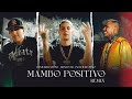 MAMBO POSITIVO REMIX - RENZO ED X BENJITALKAPONE X CALLEJERO FINO (Official Music Video)