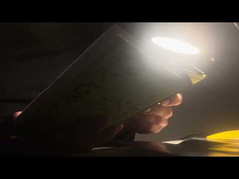 Bedtime stories (Ryūnosuke Akutagawa’s Hell Screen: story 1 “Rashamon”