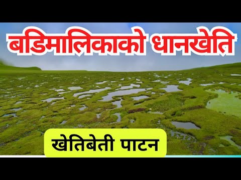 Kheti Beti Patan, Badimalika | खेतीबेती पाटन | Badimlika Bajura | Badimalika Vlog