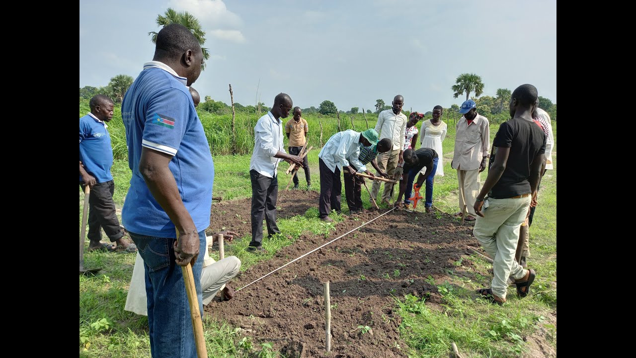 Sustainable Farming Methods in South Sudan