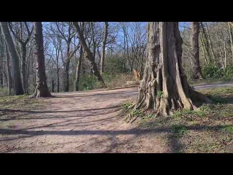 Sterrebos (park), Groningen