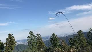 ぐーにーダイエット最終奥義「高尾山ランニング」その２