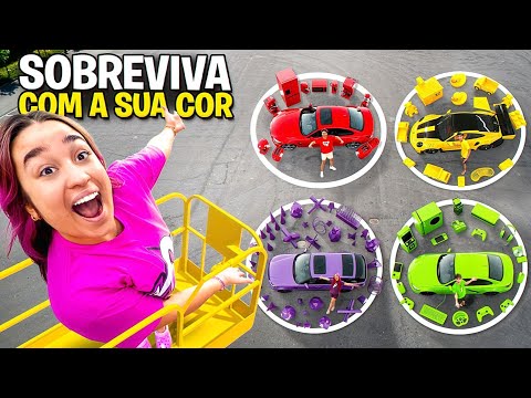 SOBREVIVA COM A COR DO SEU CARRO POR 24 HORAS *Quem venceu ?