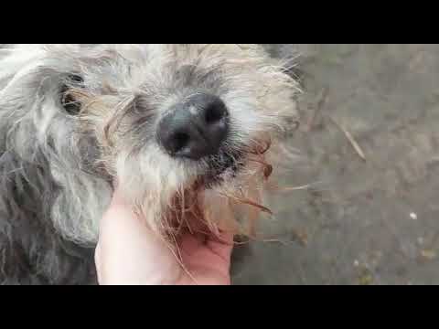 Zuhause gesucht 20.2.2022