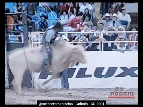 🇧🇷 Silvanei de Carvalho Dias x Moby Dyck - Rodeio de Goiânia 2001 #rodeio #rodeo