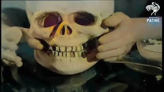 Sheena's in a Goth Gang - The Cramps (Spooky Beatnik 2024 Remonster)