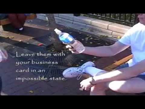 Atlantis (STANDARD) by The Enchantment