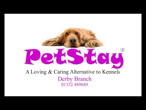 PetStay Derby/Nottingham video.