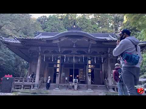 Exploring Japan Temples in the Middle of Forest