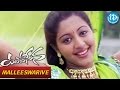 Yuvasena Movie - Malliswarive Video Song || Gopika || Bharath || Jassie Gift || Jayaraj