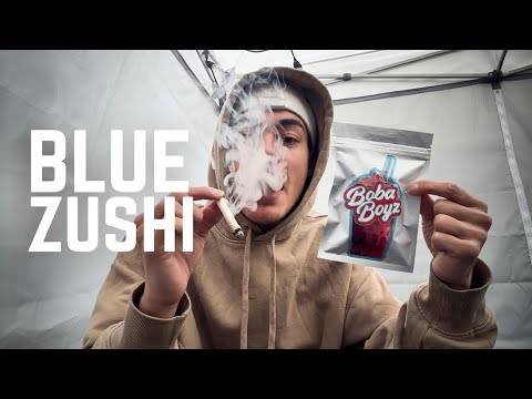 Boba Boyz "Blue Zushi" REVIEW