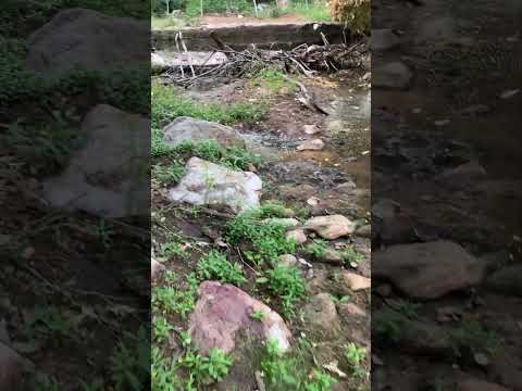 Riacho Oitis em Porteiras/CE! #ecogeo #natureza #riacho #porteiras #ceara #chapadadoararipe