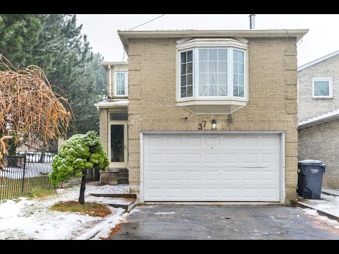 37 Dupont Court Brampton