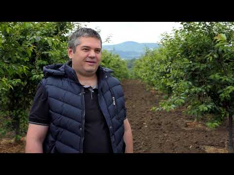 Domaćine kako radiš 28.06.2021. Proizvodnja višanja, Vlaška, Landol