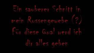 Eisregen - Nachtgeburt (mit Lyrics)