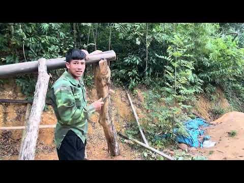 Làm Nhà Tại Đảo Vĩnh thực